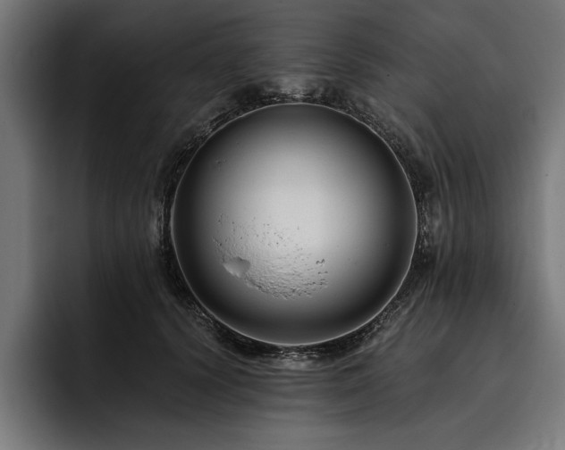 X0000093400656200710121059