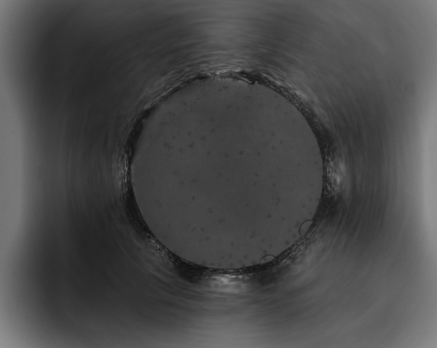 X0000093400657200710121059