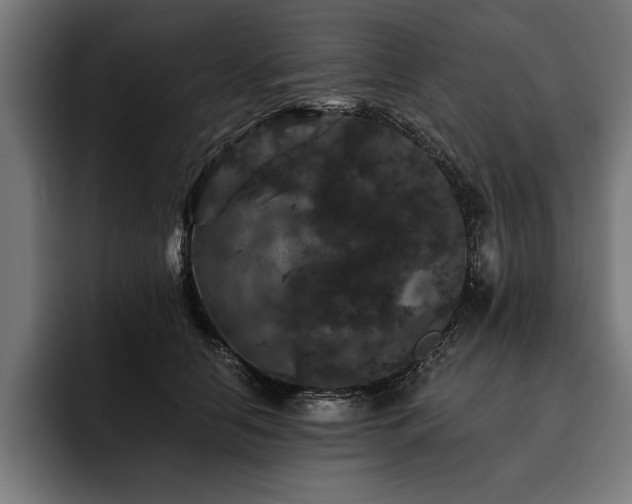 X0000093400658200710121100