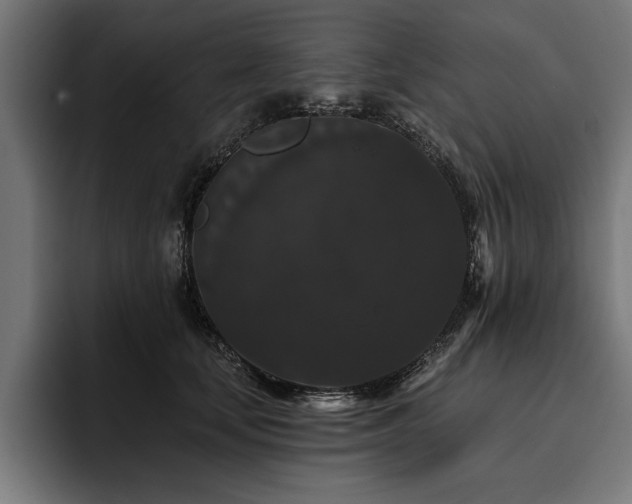 X0000093400659200710121100