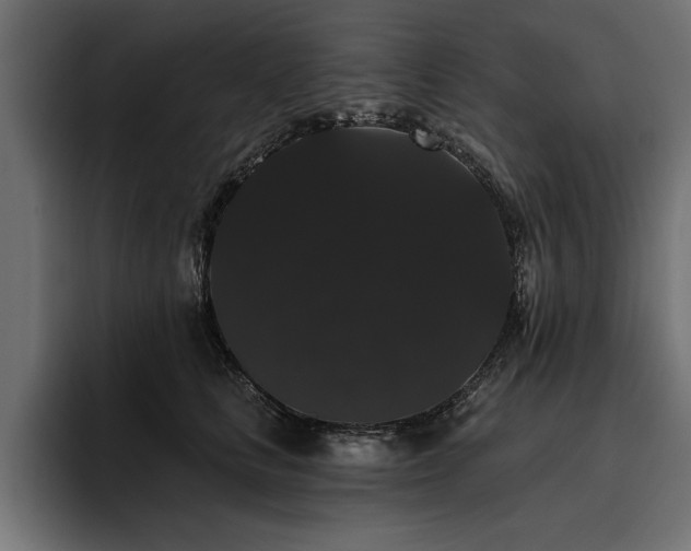 X0000093400661200710121100