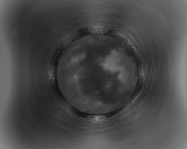 X0000093400663200710121100