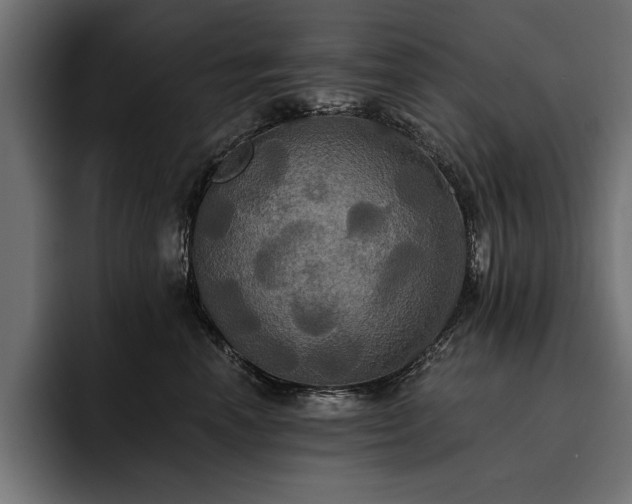 X0000093400666200710121100