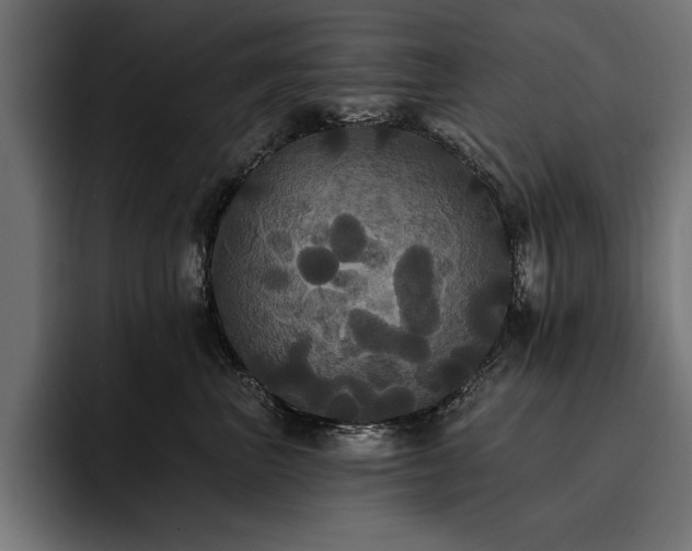 X0000093400667200710121100