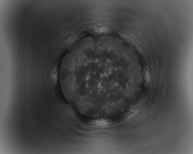 X0000093400668200710121100