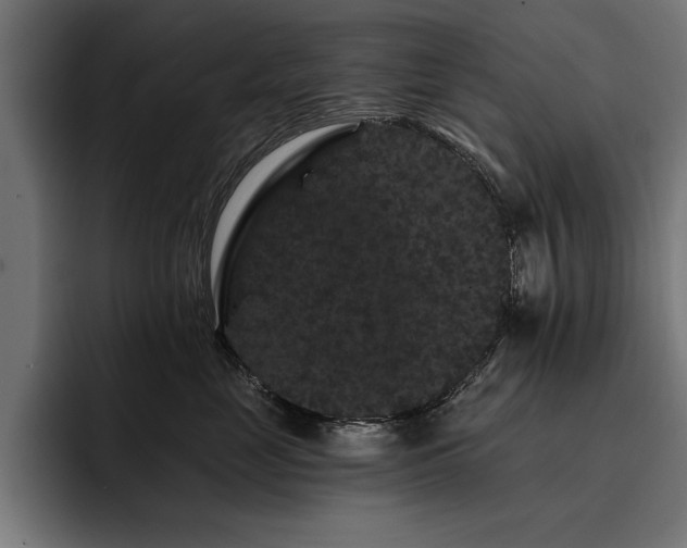 X0000093400669200710121100