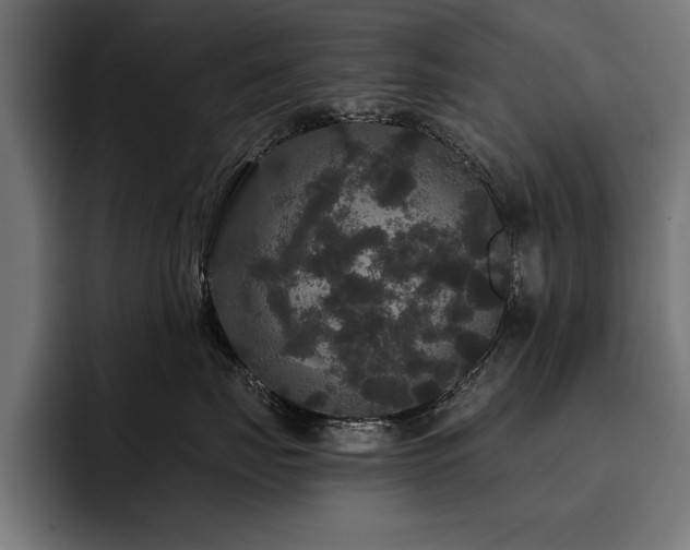 X0000093400671200710121100
