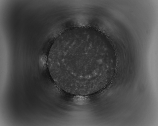 X0000093400672200710121100
