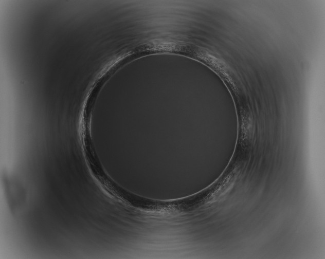 X0000093400674200710121059