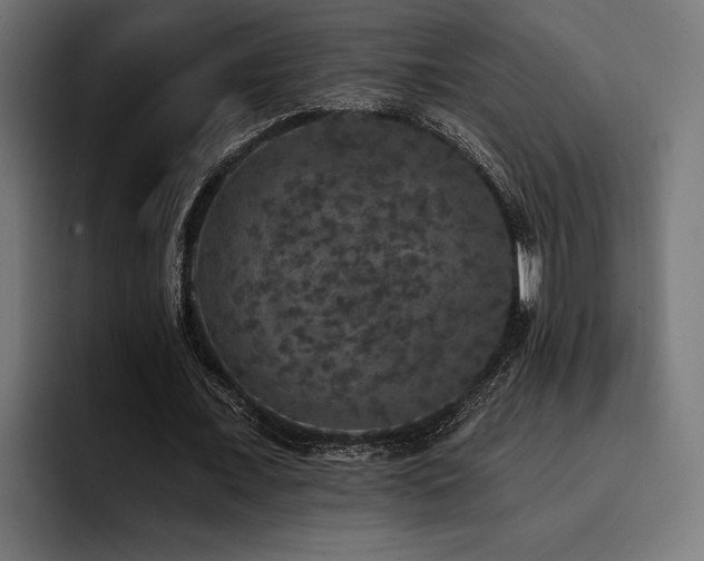 X0000093400675200710121059