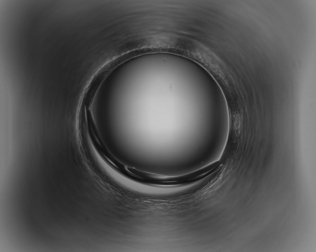 X0000093400676200710121059
