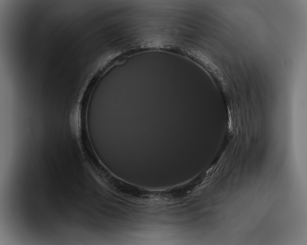 X0000093400678200710121059