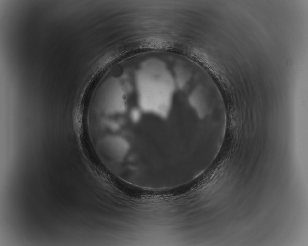 X0000093400679200710121059