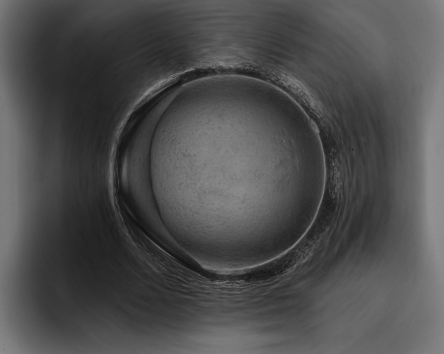 X0000093400680200710121059