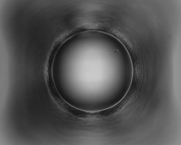 X0000093400682200710121059