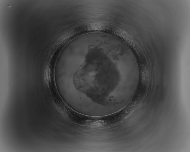 X0000093400683200710121059