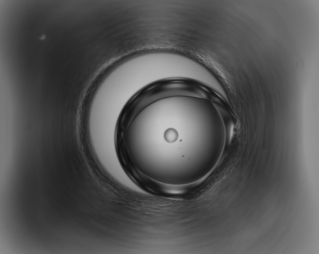 X0000093400684200710121059