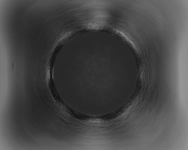 X0000093400685200710121059