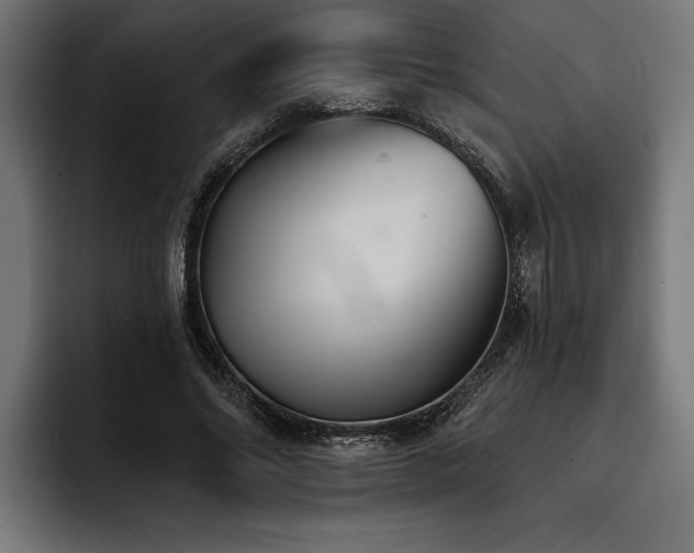 X0000093400686200710121059