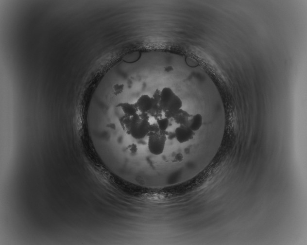 X0000093400687200710121059