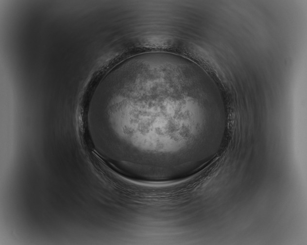 X0000093400688200710121059