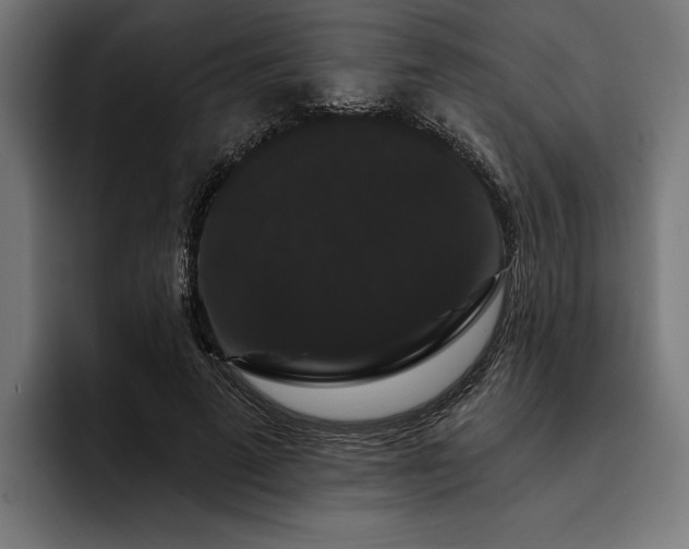 X0000093400689200710121059