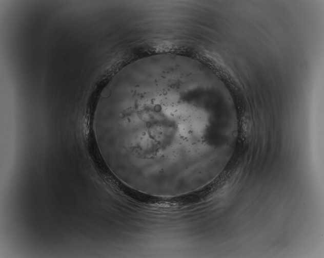 X0000093400691200710121059