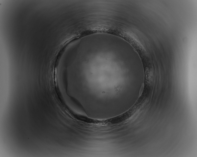 X0000093400692200710121059