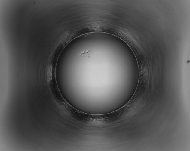 X0000093400694200710121059