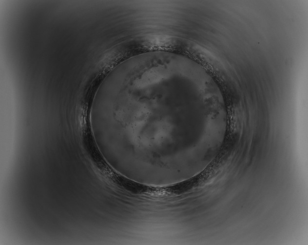 X0000093400695200710121059