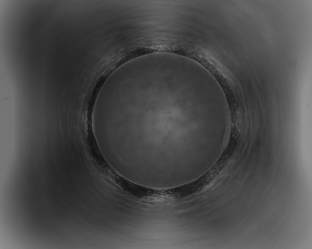 X0000093400696200710121059