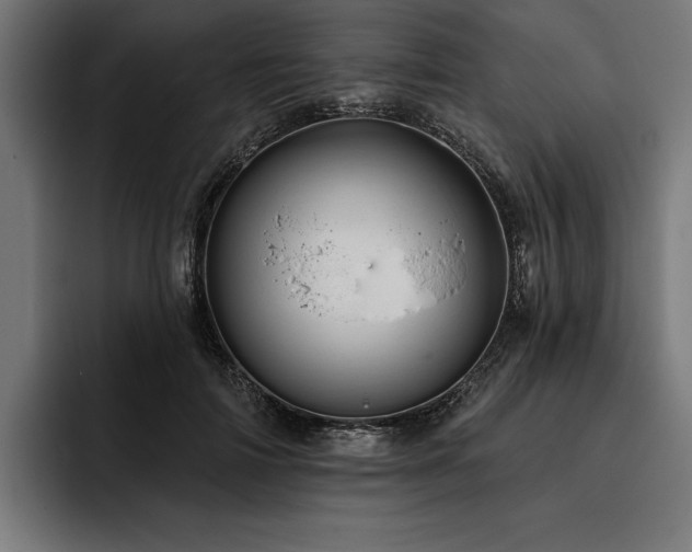 X0000093400698200710121059