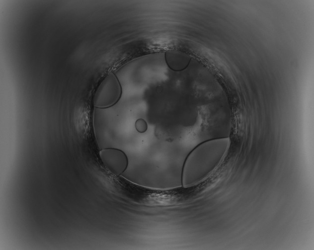 X0000093400699200710121059