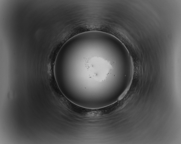 X0000093400700200710121059