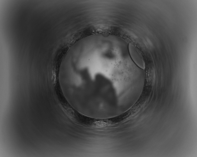 X0000093400703200710121059