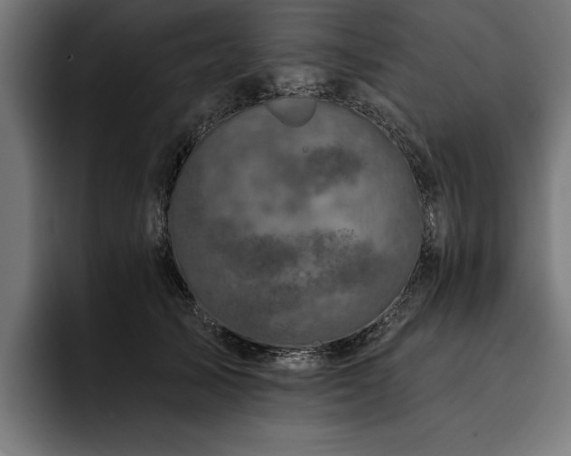 X0000093400705200710121059