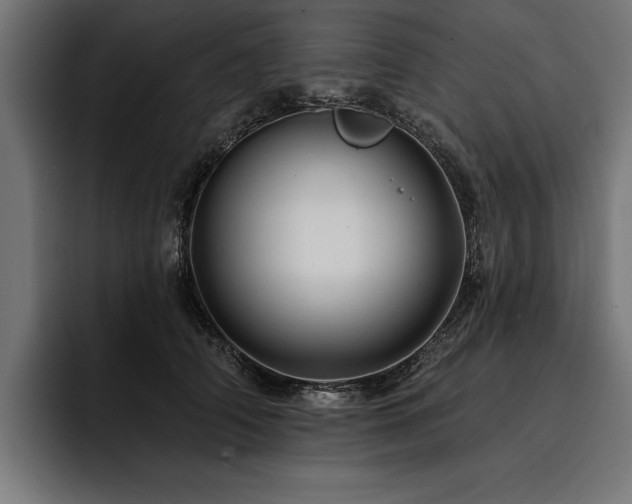X0000093400706200710121059