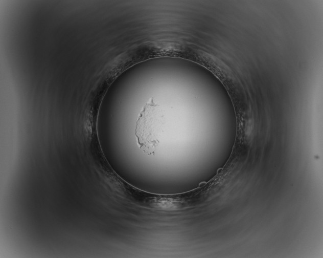 X0000093400710200710121059