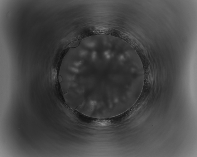 X0000093400711200710121059