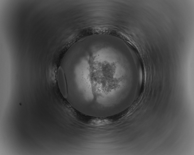 X0000093400712200710121059