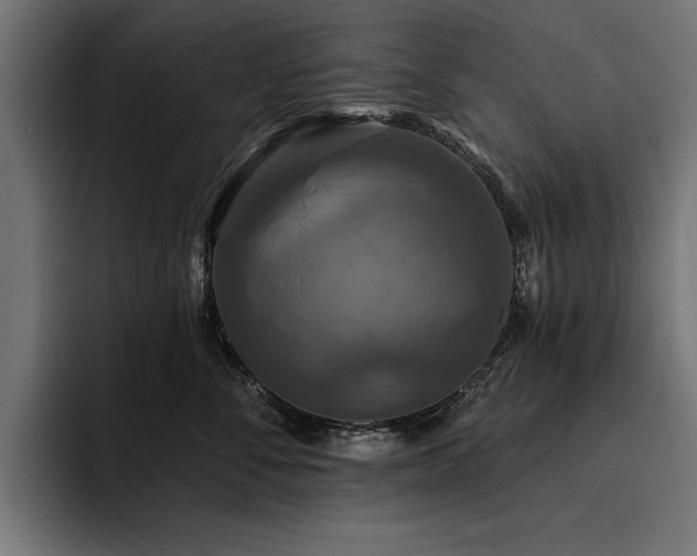 X0000093400716200710121059