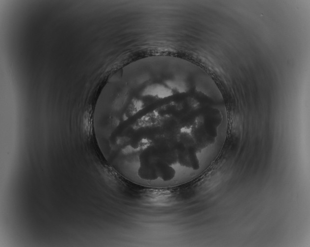 X0000093400719200710121059