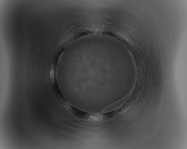 X0000093400720200710121059