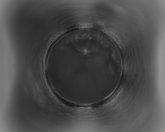 X0000093400721200710121058