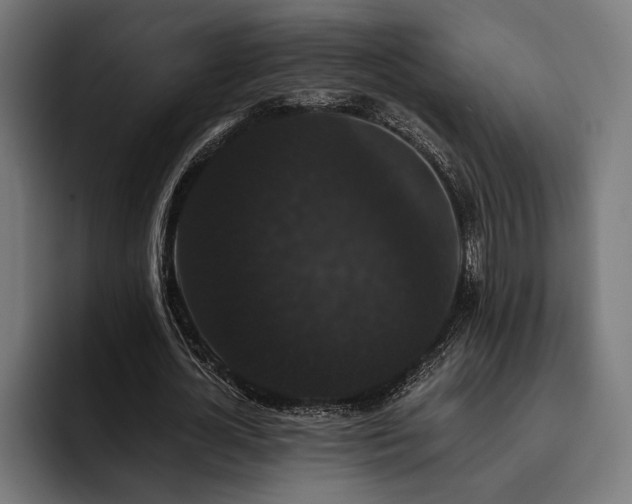 X0000093400724200710121058