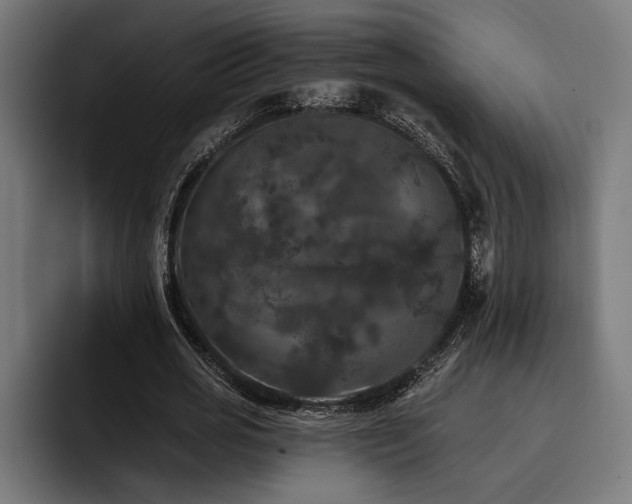 X0000093400725200710121058
