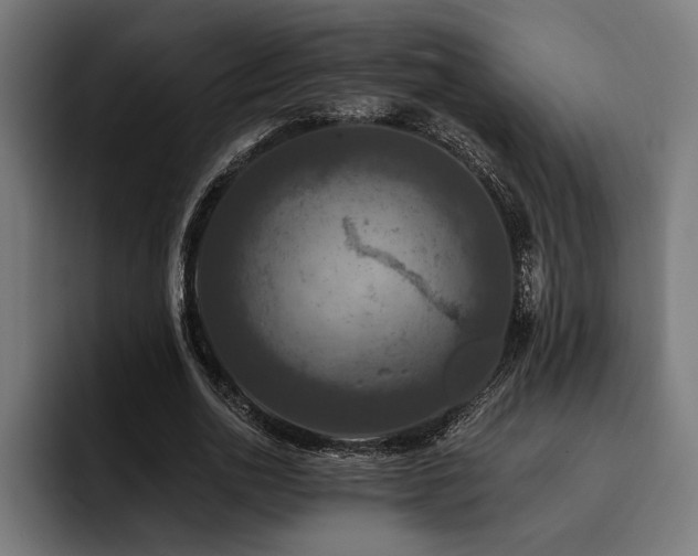 X0000093400726200710121058