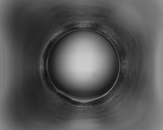 X0000093400727200710121058