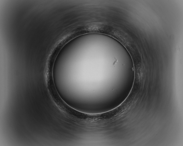 X0000093400728200710121058
