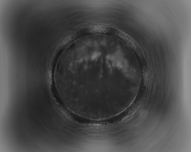 X0000093400729200710121058